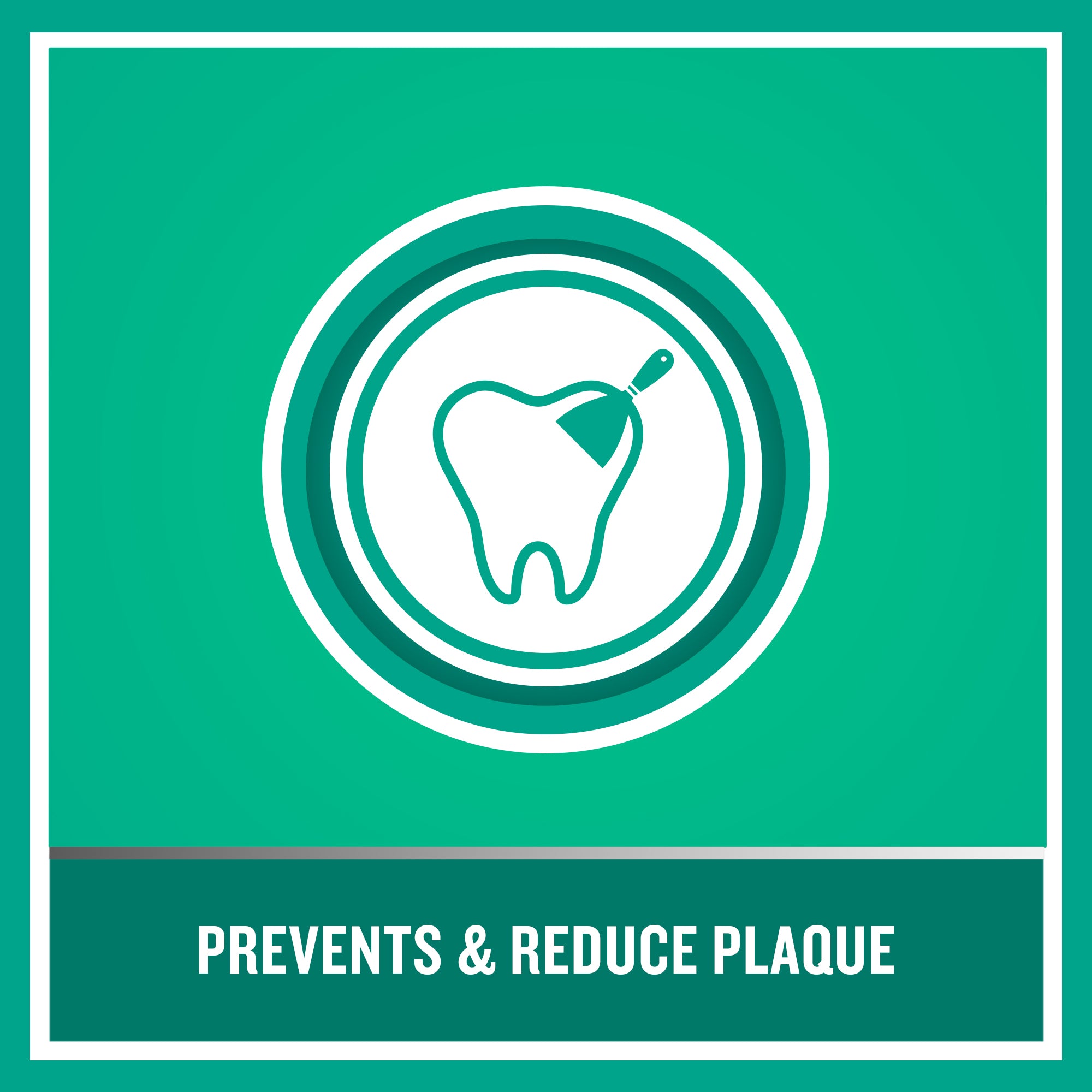 Listerine® Fresh Burst Daily Antiseptic Mouthwash