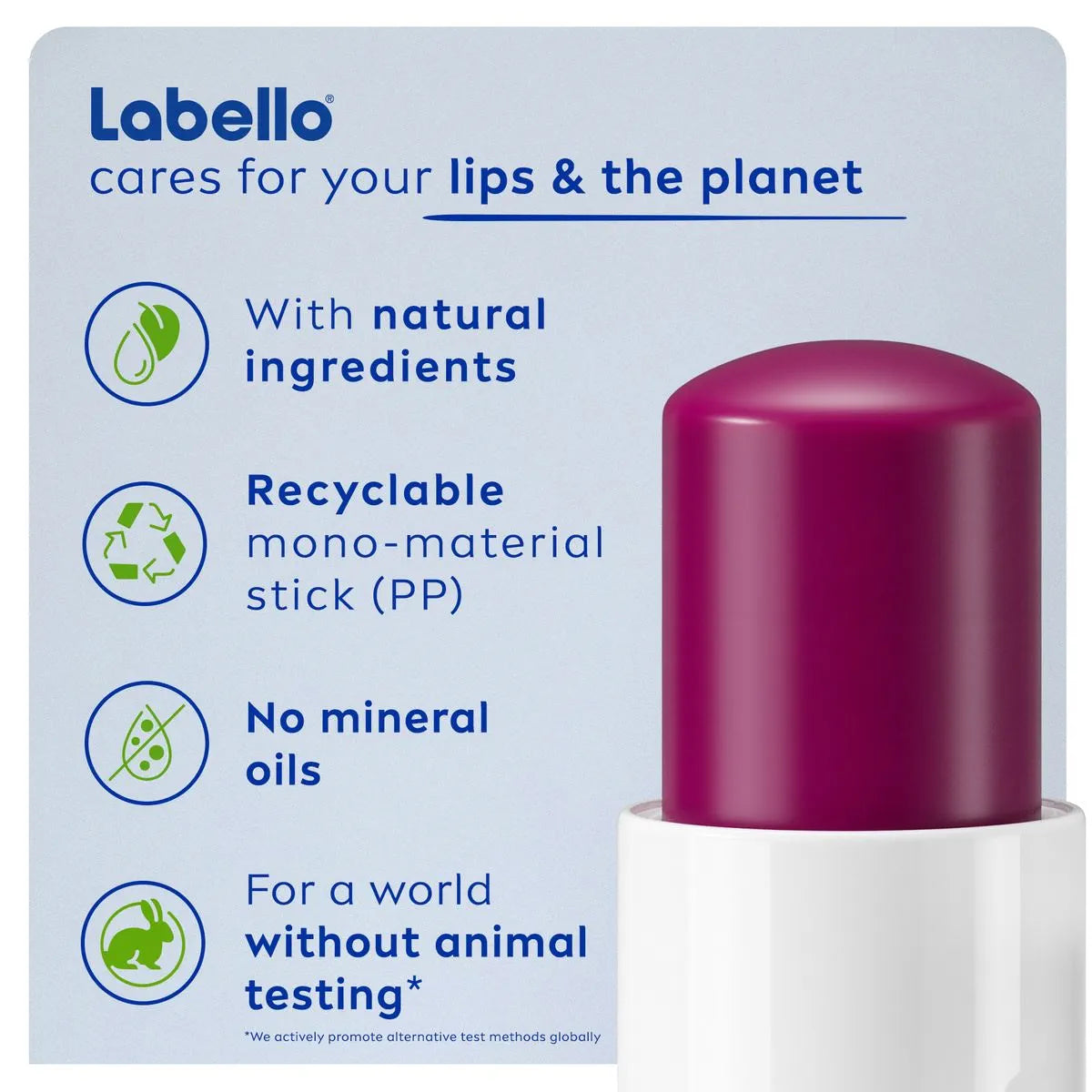 Labello Lip Balm - Blackberry
