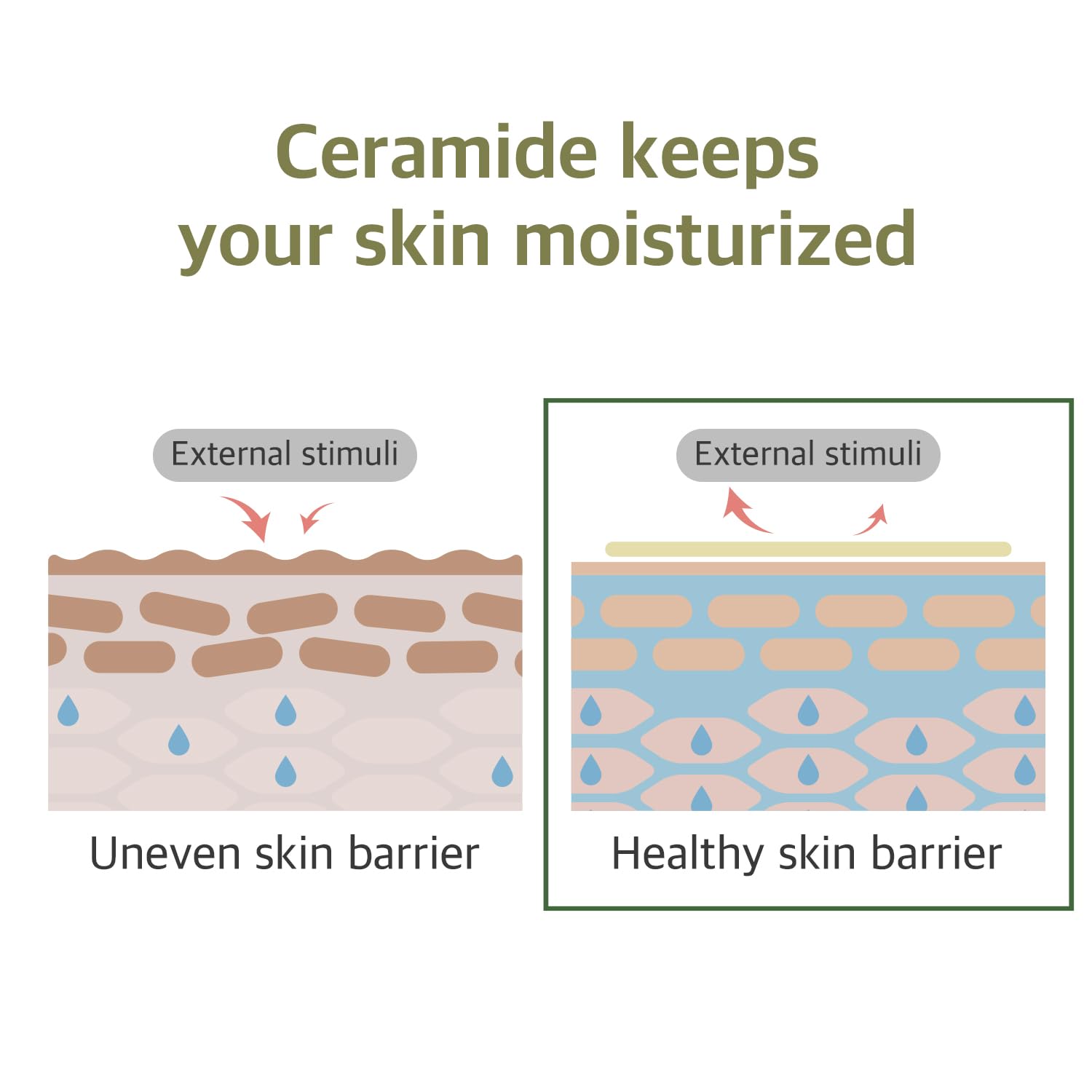 Round Lab Soybean Cleansing Oil