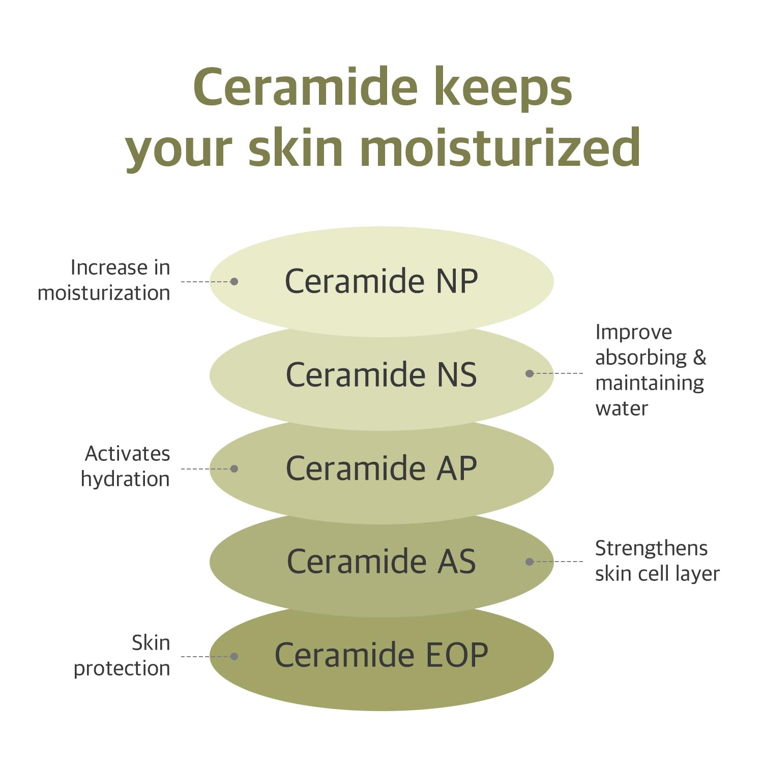 Round Lab Soybean Nourishing Serum