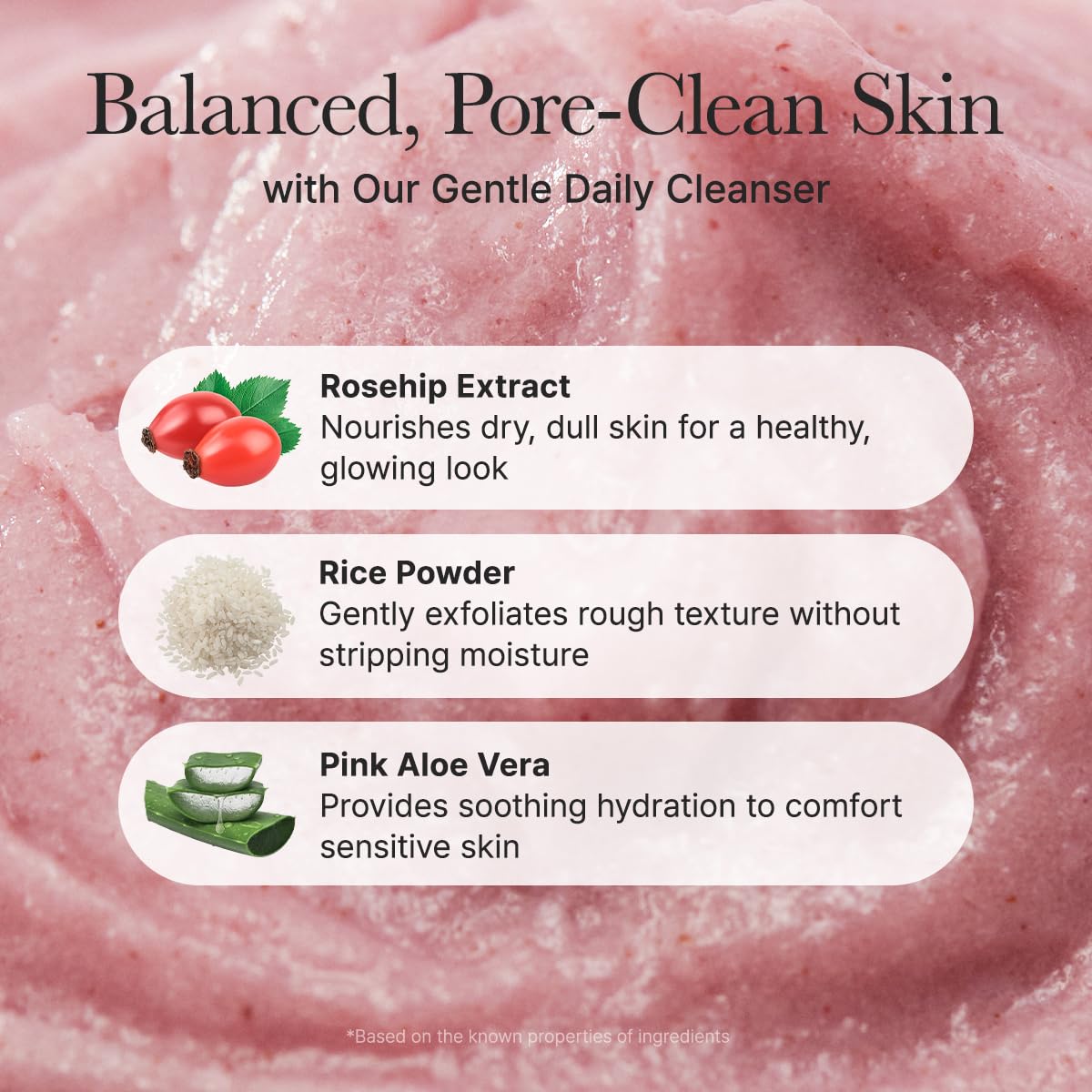 Arencia Fresh Rosehip Rice Mochi Cleanser
