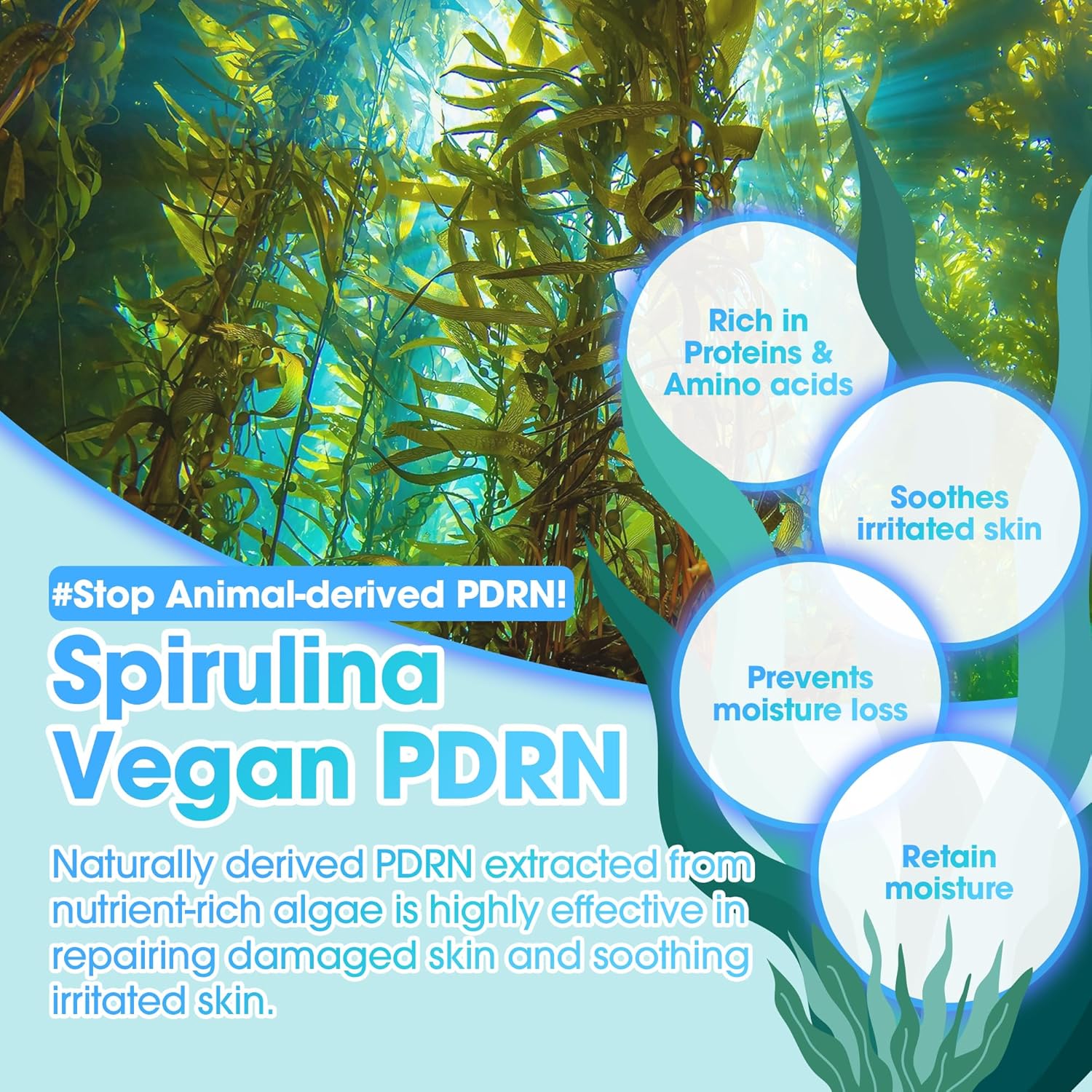 Some By Mi PDRN Spirulina Soothing Repair Serum