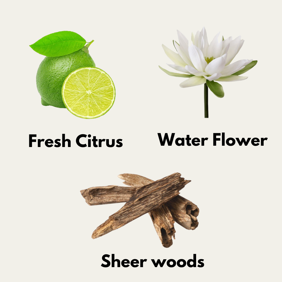 Nuha Scents Candle - Forest Fresh