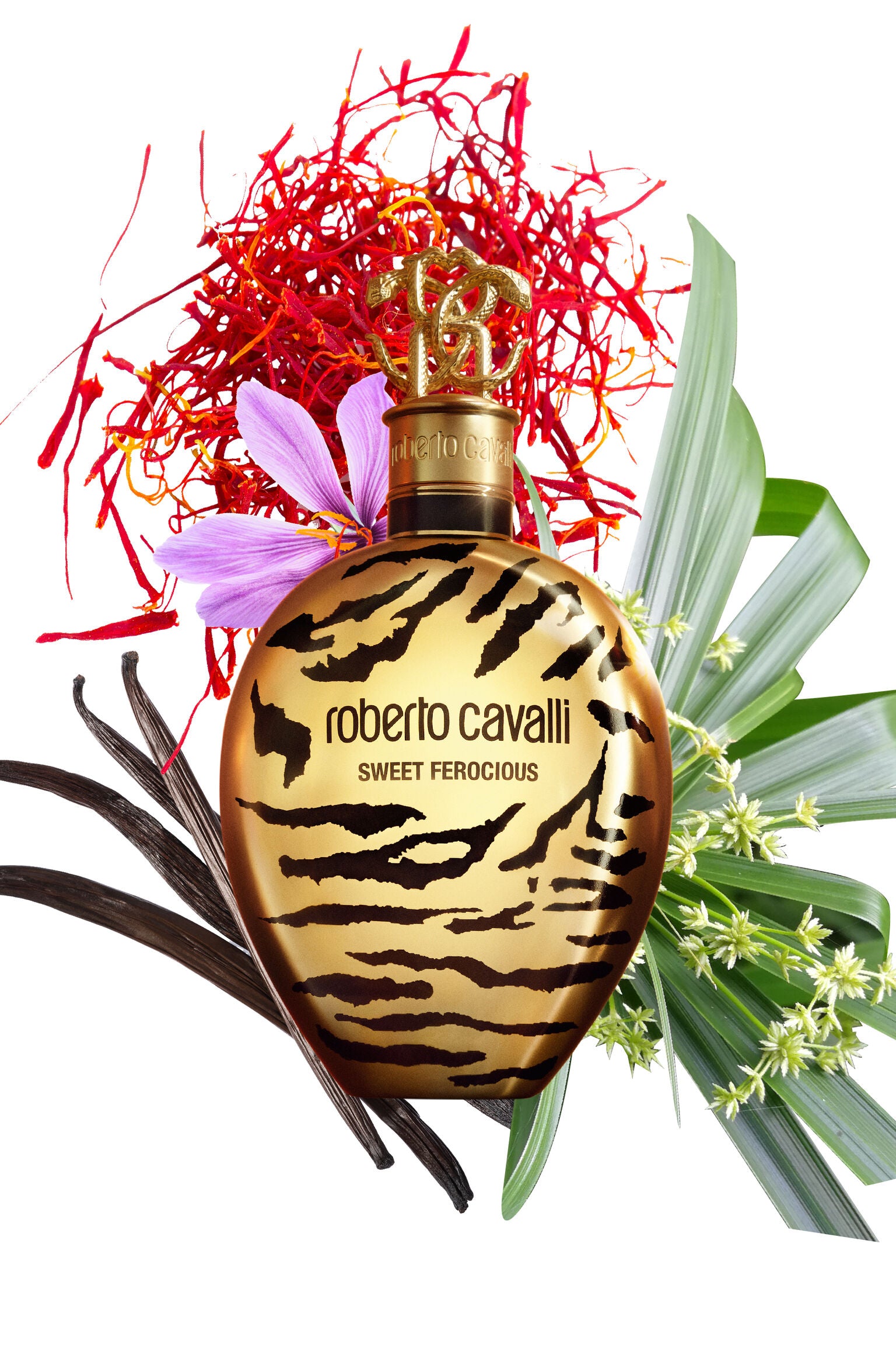 Roberto Cavalli Ladies Sweet Ferocious Eau de Parfum