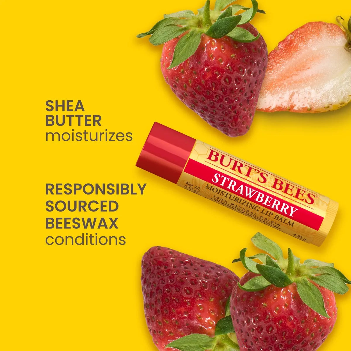 Burt's Bees Best of Burt's Lip Balm Set