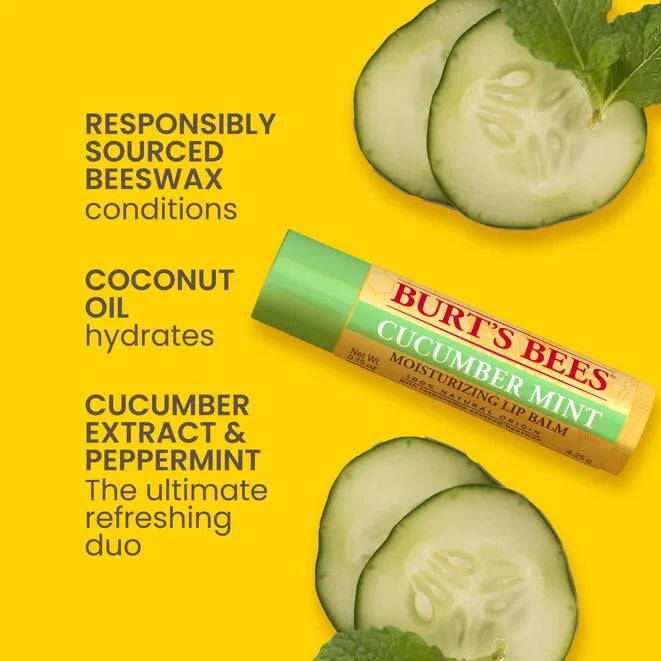 Burt's Bees Assorted Lip Balms Set