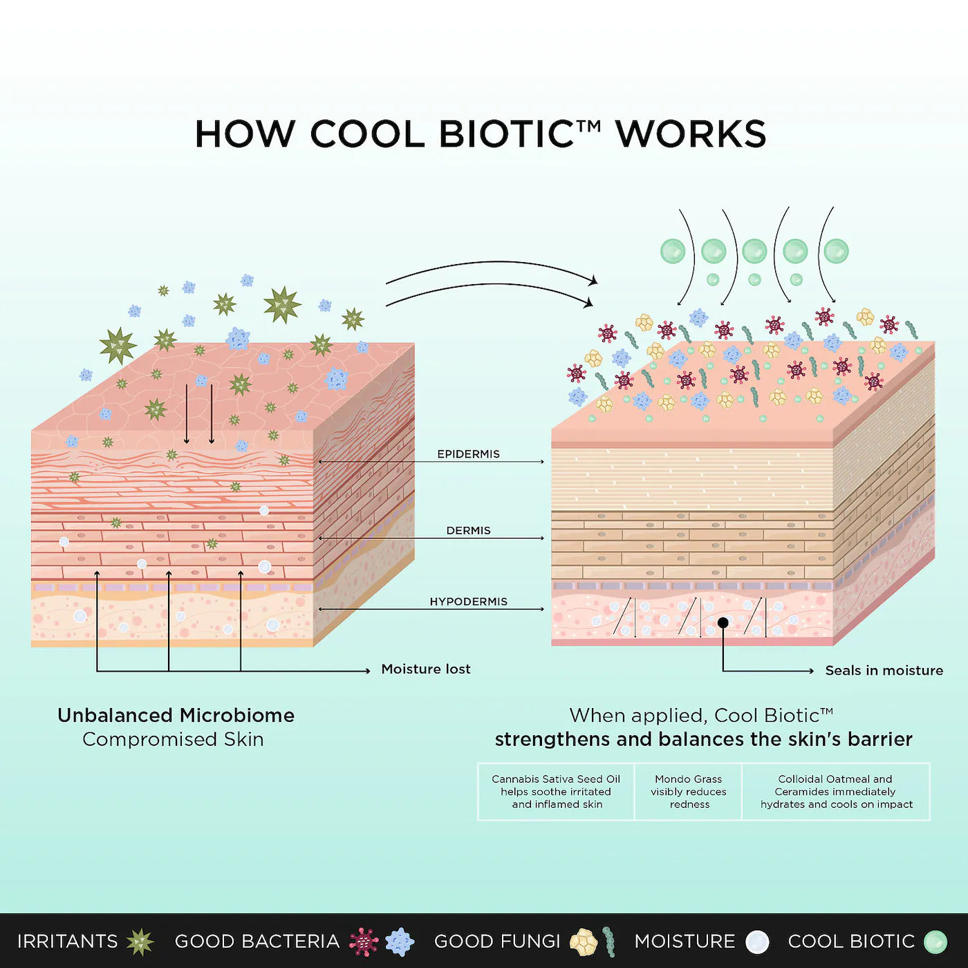 Dr. Brandt Cool Biotic Prebiotic Redness Relief Cream