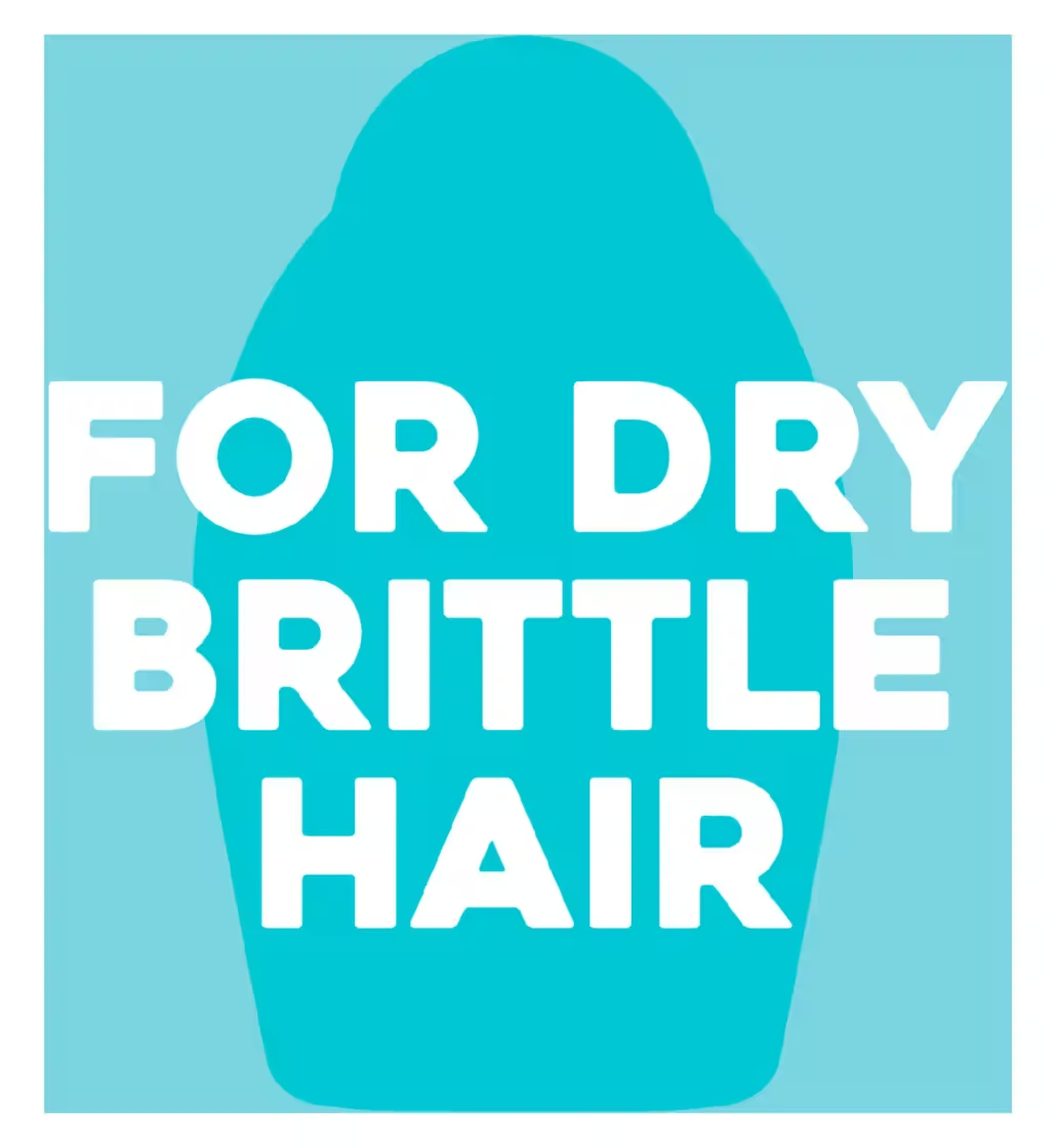 OGX Renewing+ Argan Oil of Morocco Extra Penetrating Oil