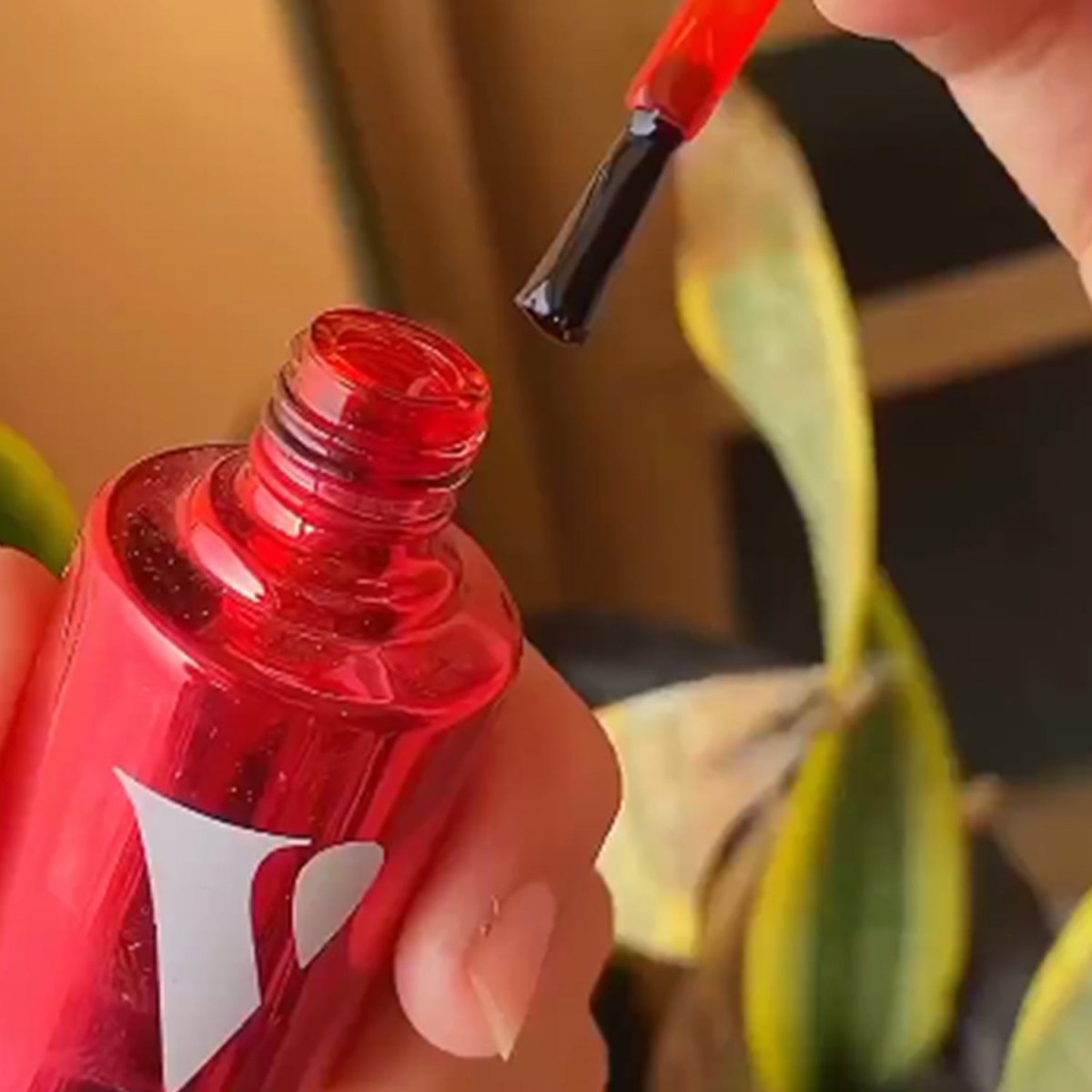 Lip Cheek Tint Red - VCare Natural - VCARE NATURAL