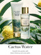 Victoria's Secret Fragrance Lotion - Cactus Water