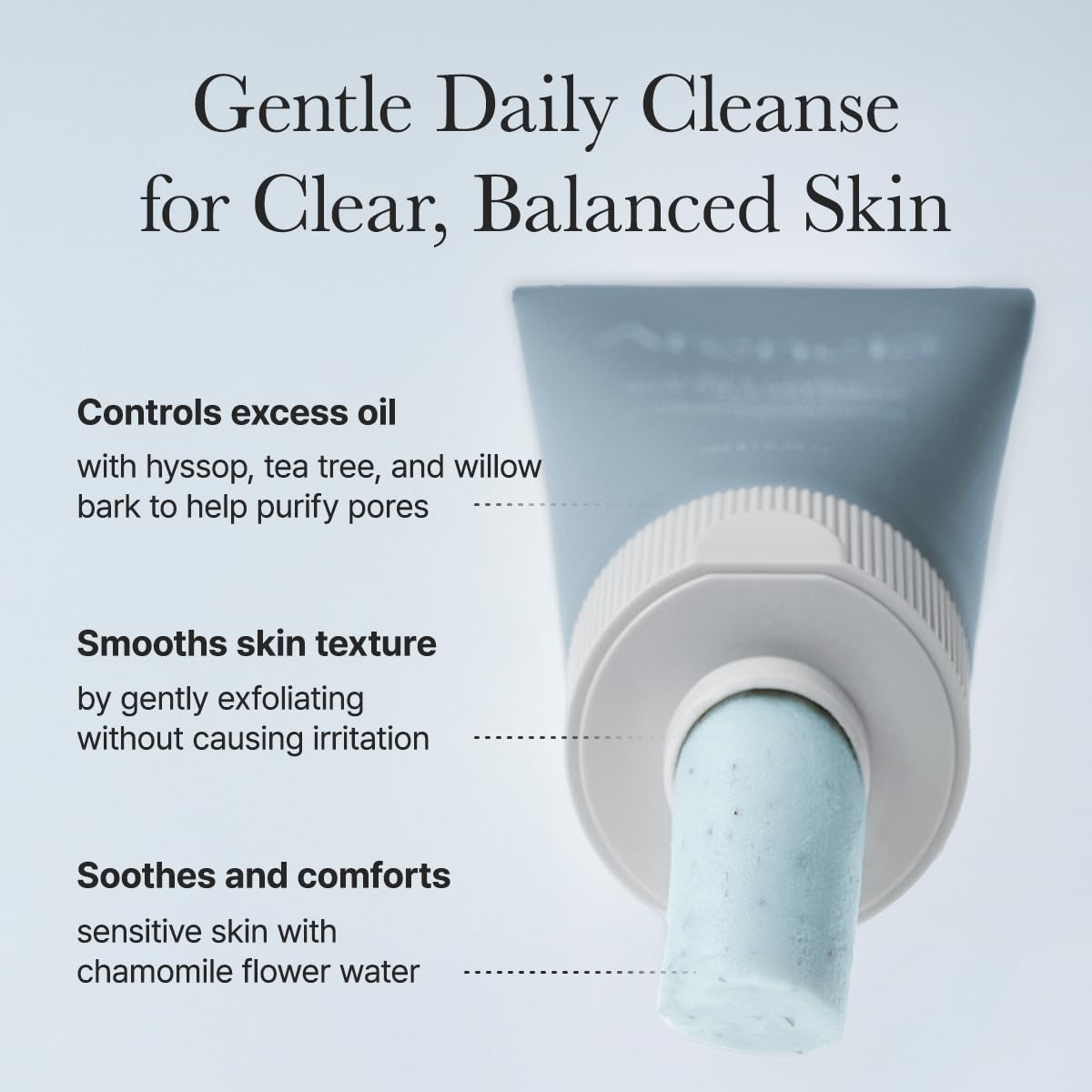 Arencia Hyssop Sebum Control Rice Cake Cleanser