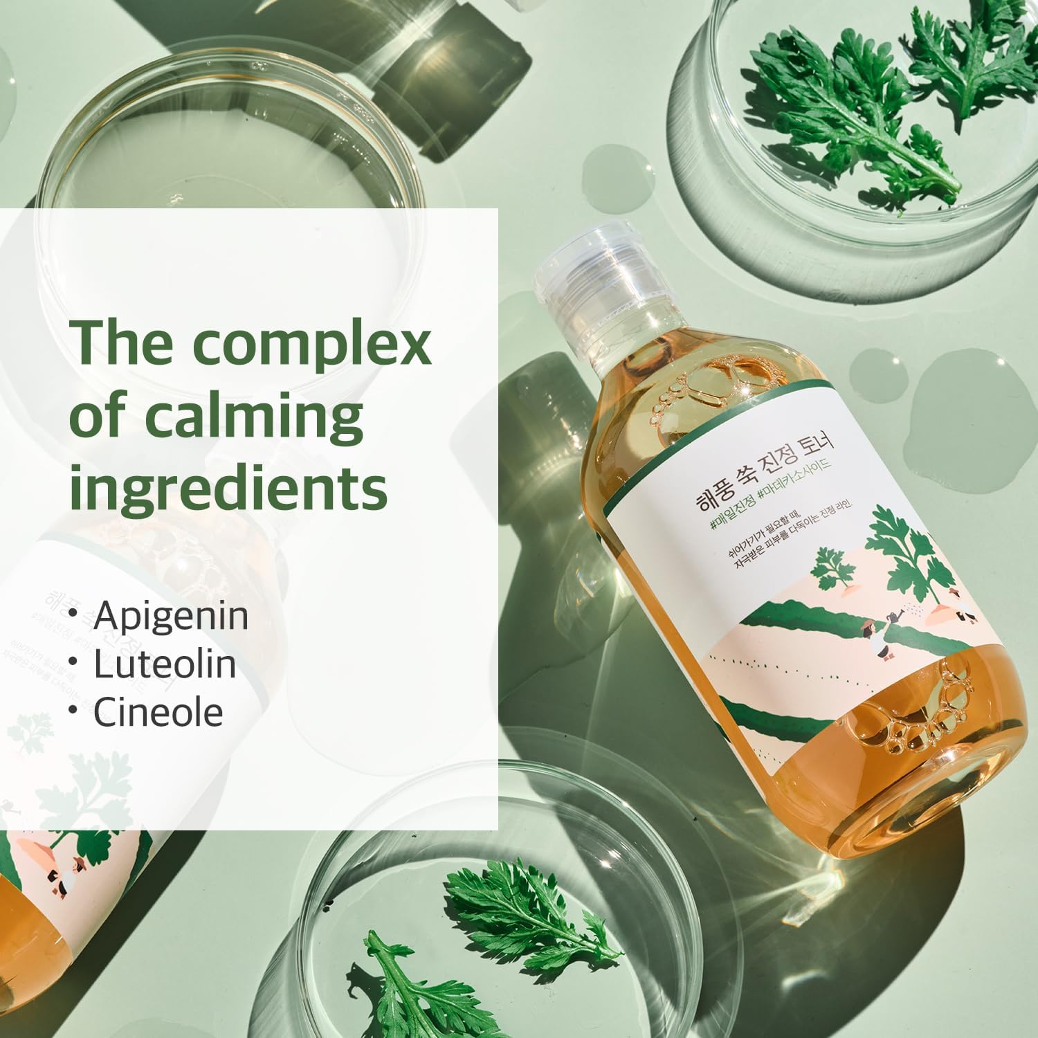 Round Lab Mugwort Calming Toner