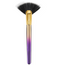 Tarte Rainforest of the Sea Highlighting Fan Brush