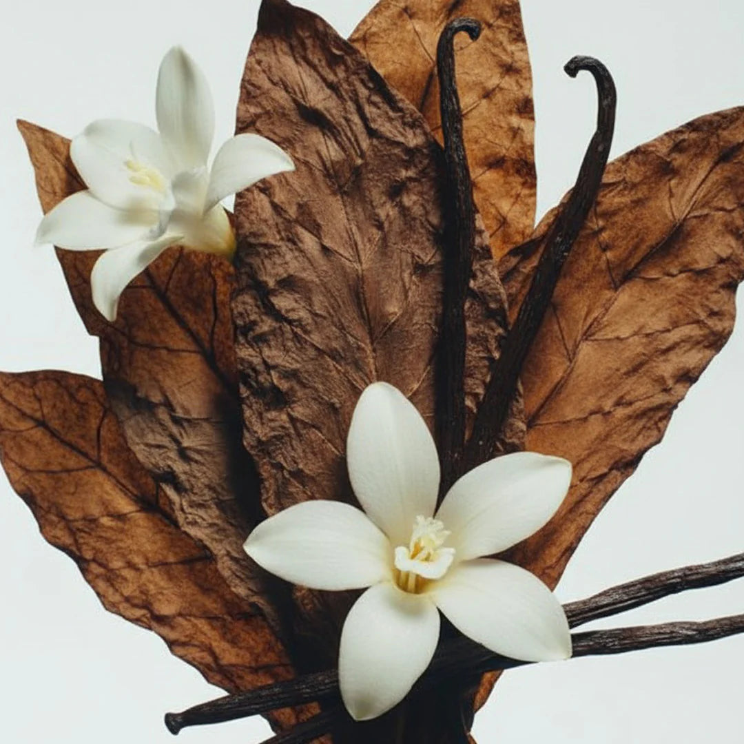 Conatural Forest Noir Body Lotion