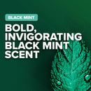 Irish Spring Black Mint Body Wash For Men