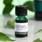 The Body Shop Tea Tree Oil