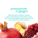 OGX Detoxifying+ Pomegranate & Ginger Conditioner