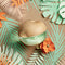 DKNY Be Delicious Coconuts About Summer Limited Edition Eau De Toilette