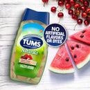 Tums Antacid Chewable Tablets Naturals