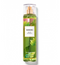 Bath and Body Works Waikiki Beach Coconut Fine Fragrance Mist